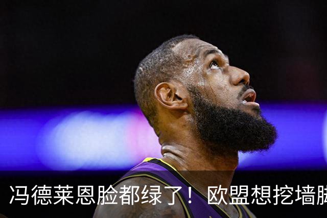 冯德莱恩脸都绿了！欧盟想挖墙脚反被将一军，什么叫中国力量