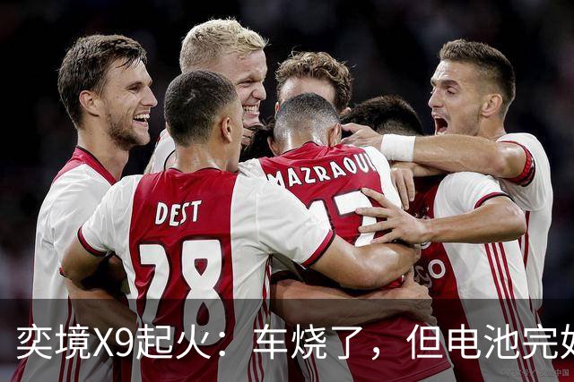 奕境X9起火：车烧了，但电池完好，这事就值得掰扯了