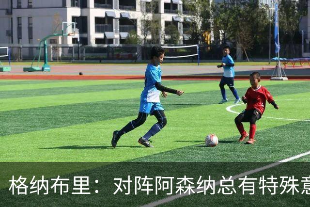 格纳布里：对阵阿森纳总有特殊意义，从上赛季看我们还有旧账要算