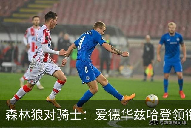森林狼对骑士：爱德华兹哈登领衔，两队伤情成看点