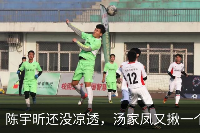 陈宇昕还没凉透，汤家凤又揪一个“精日”人员：竟然还是公司老板