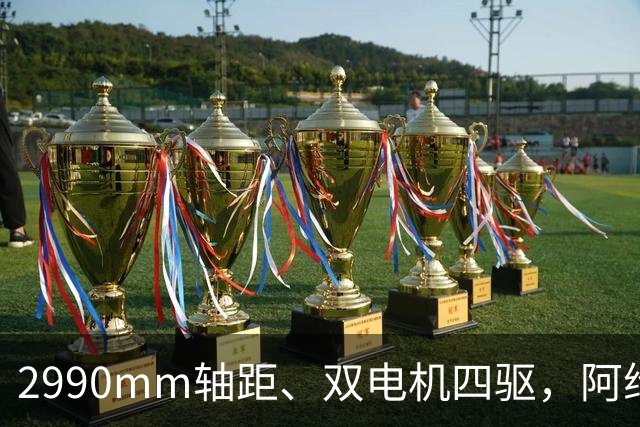 2990mm轴距、双电机四驱，阿维塔07L增程版申报